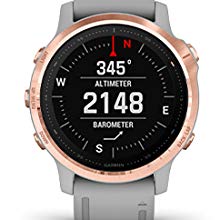 fenix 6s garmin pro